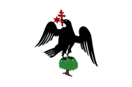 Most recent flag or coat of arms of wallachia