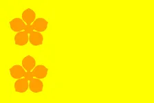 Most recent flag or coat of arms of Sultanate of Deli
