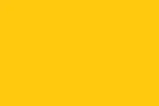 Most recent flag or coat of arms of Ayyubid Dynasty