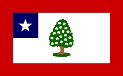 Flag