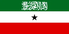 Most recent flag or coat of arms of somaliland