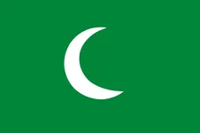 Most recent flag or coat of arms of Hammadid Dynasty