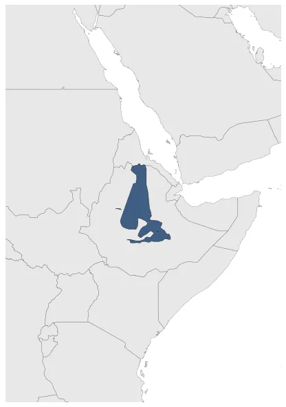 Maximum Extent