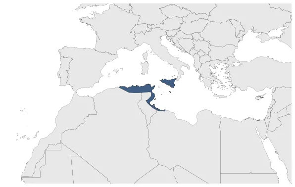 Maximum Extent