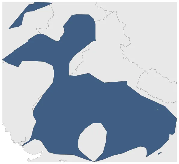 Maximum Extent