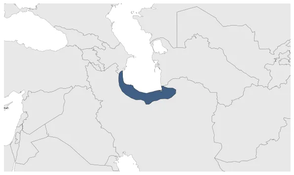 Maximum Extent