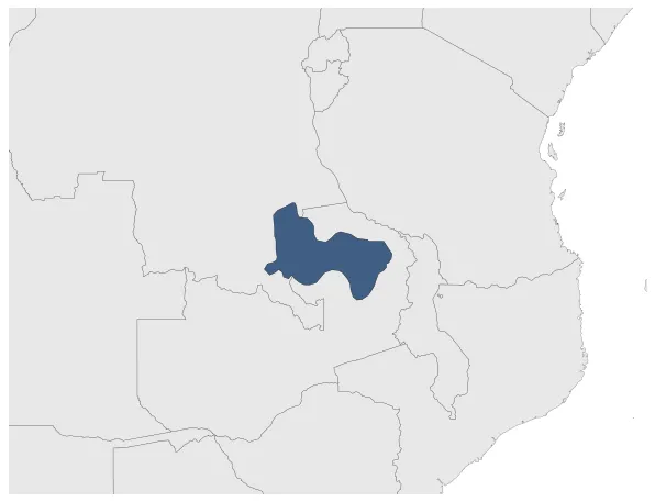 Maximum Extent