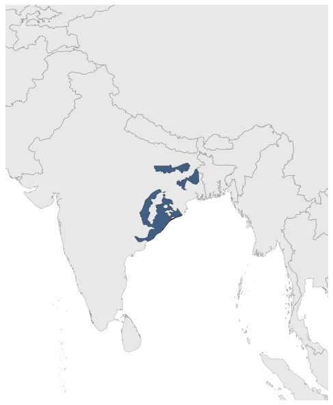 Maximum Extent