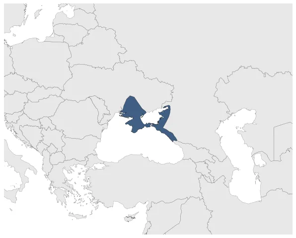 Maximum Extent