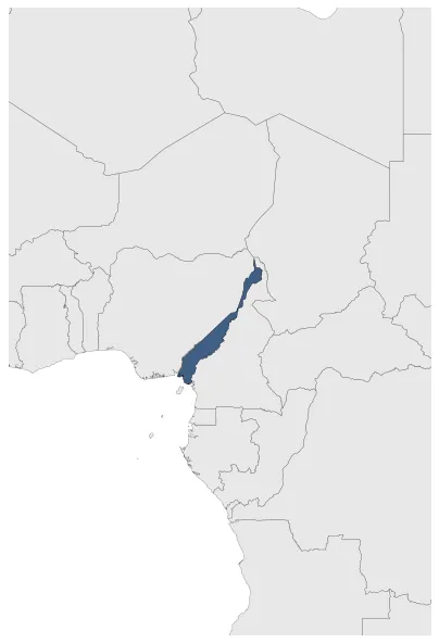 Maximum Extent