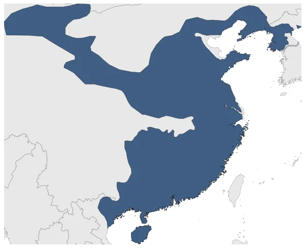 Maximum Extent