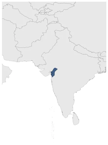 Chalukyas of Navasarika: Maximal extension of the polity