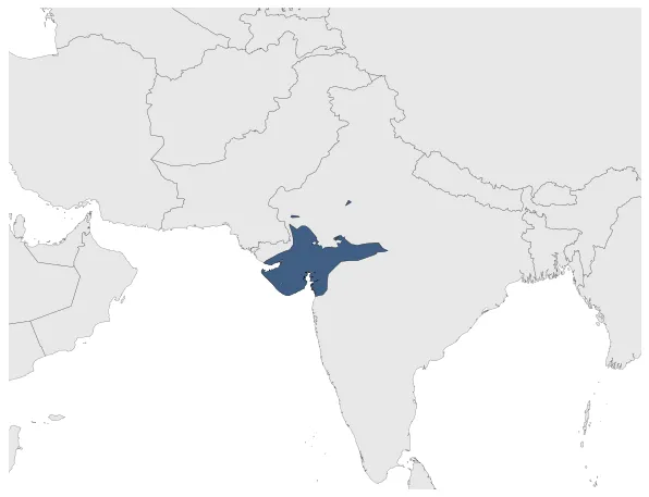 Chaulukya dynasty: Maximal extension of the polity
