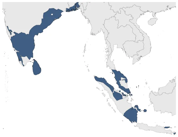 Chola Dynasty: Maximal extension of the polity