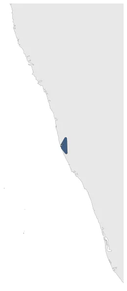 Maximum Extent