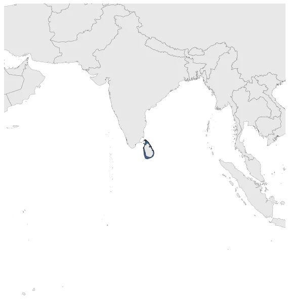 Maximum Extent