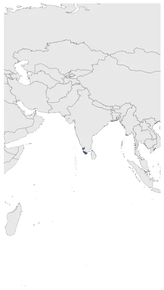 Maximum Extent