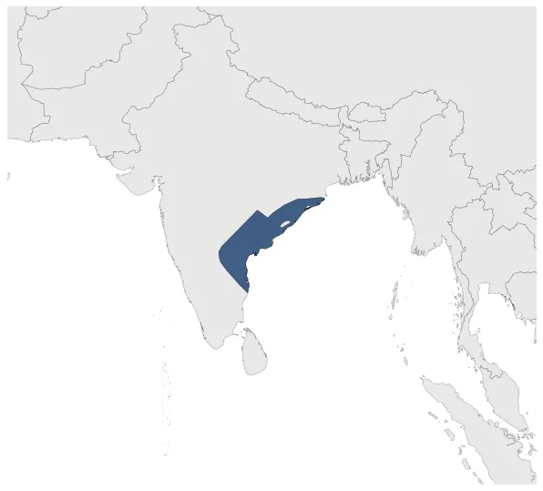 Maximum Extent