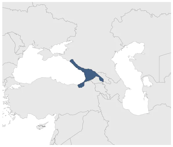 Maximum Extent