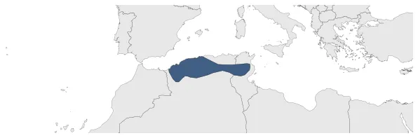 Maximum Extent