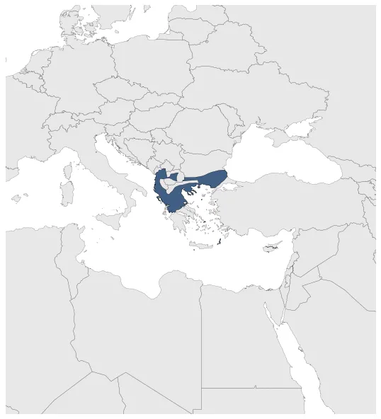 Maximum Extent