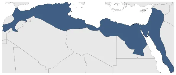Maximum Extent