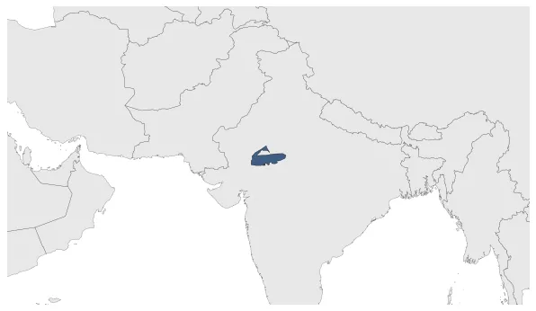 Maximum Extent