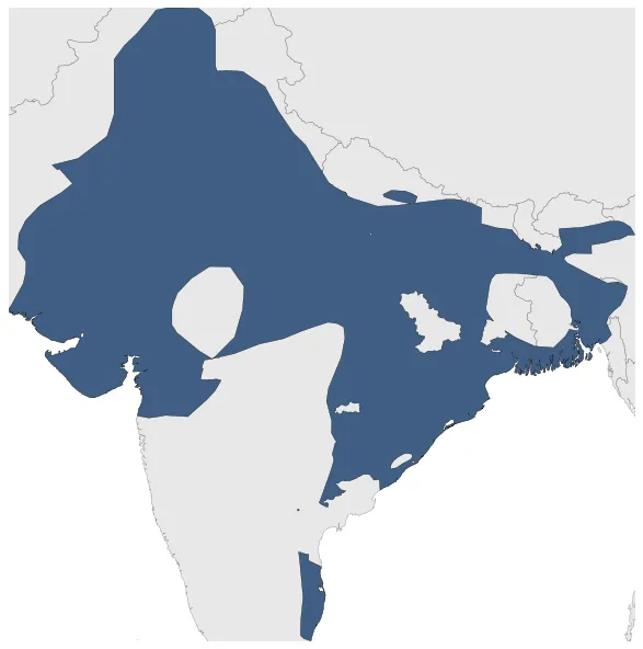 Gupta Empire: Maximal extension of the polity