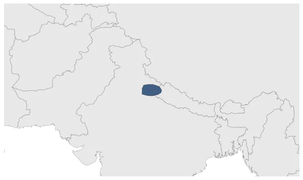 Maximum Extent