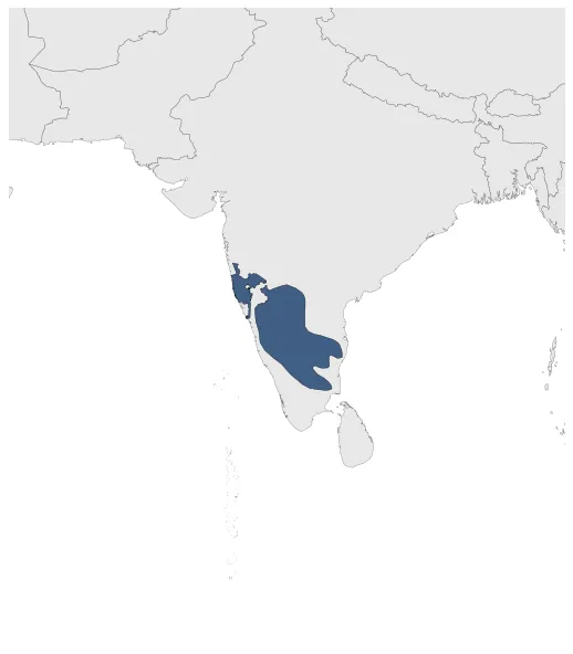 Maximum Extent