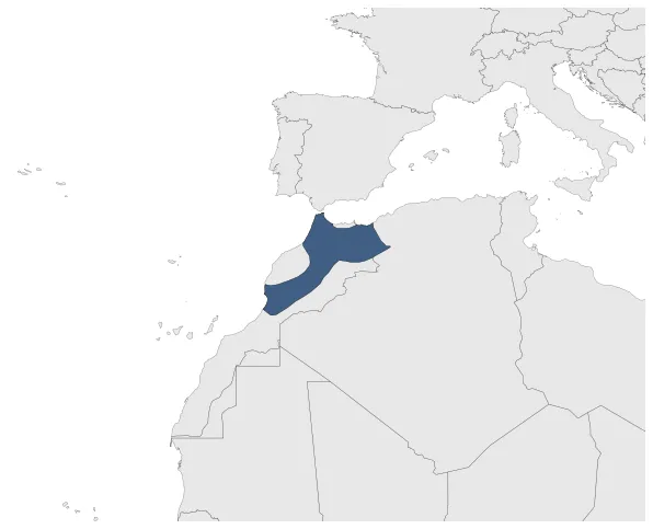 Maximum Extent
