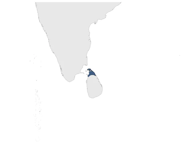 Maximum Extent