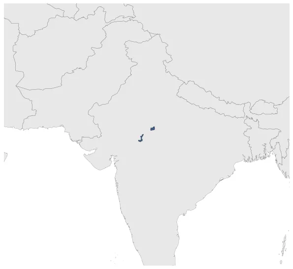 Maximum Extent