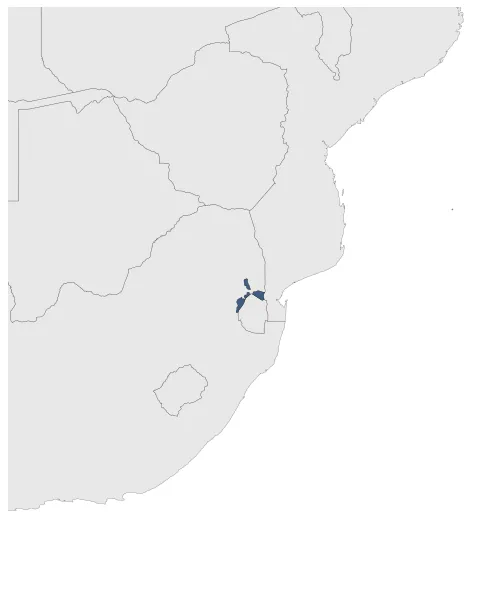 Maximum Extent