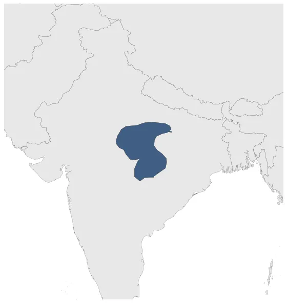 Maximum Extent