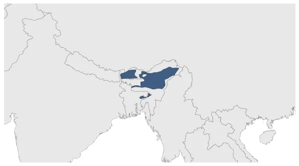 Maximum Extent