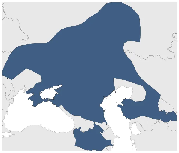 Maximum Extent