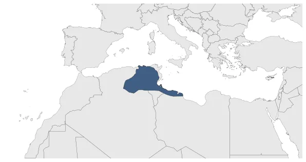 Maximum Extent