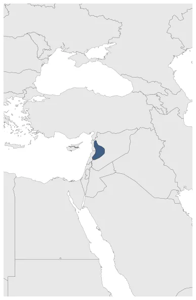 Maximum Extent