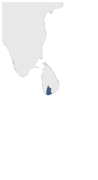 Maximum Extent