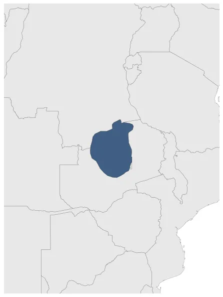 Maximum Extent