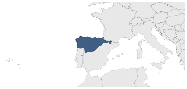 Maximum Extent