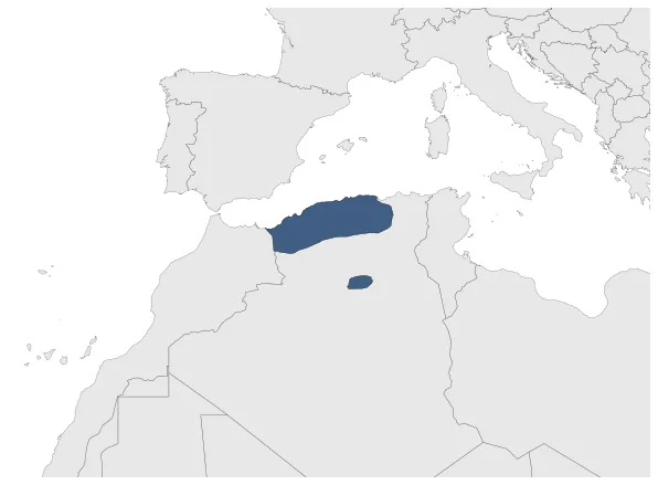 Maximum Extent