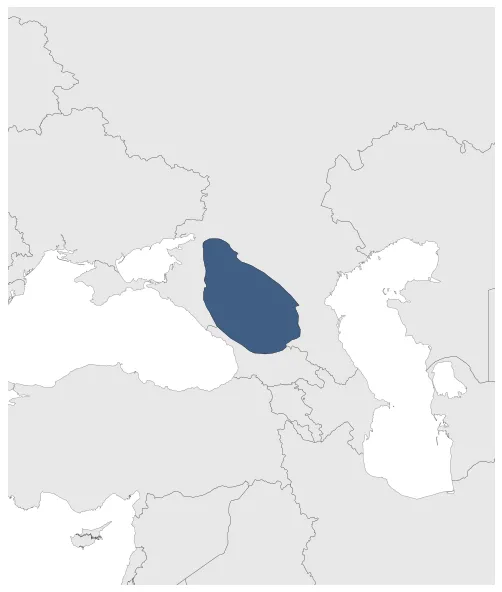 Maximum Extent