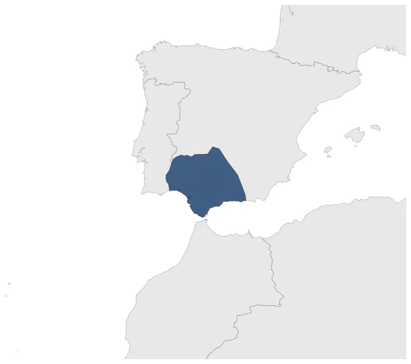Maximum Extent