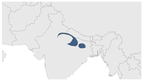 Maximum Extent