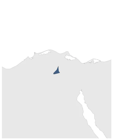 Maximum Extent