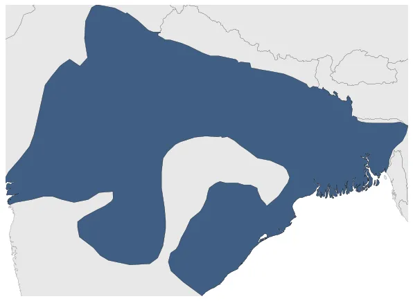 Magadha Kingdom: Maximal extension of the polity