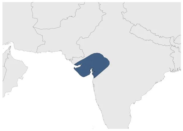 Maximum Extent
