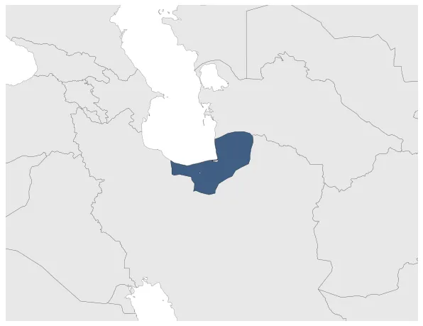 Maximum Extent